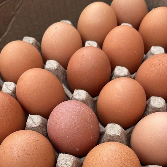 Huevos